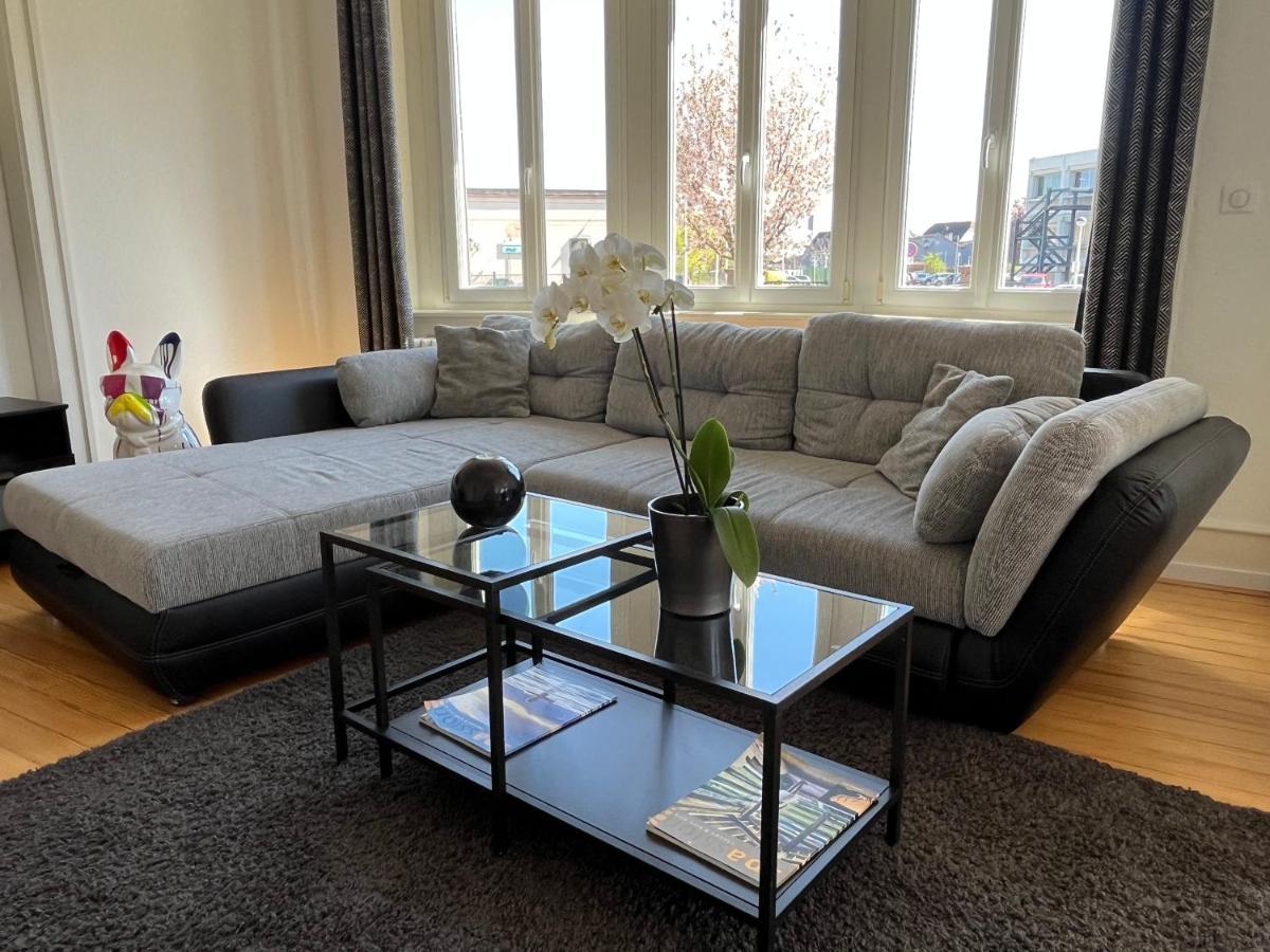 Appartement De Prestige Au Centre Climatise Avec Jardin Prive コルマール エクステリア 写真