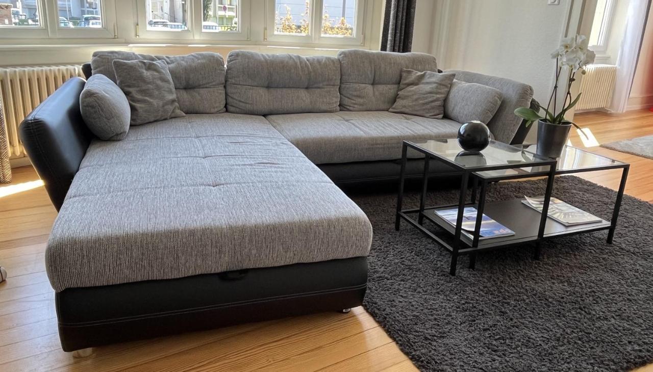 Appartement De Prestige Au Centre Climatise Avec Jardin Prive コルマール エクステリア 写真