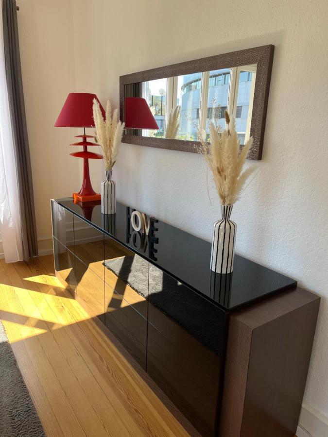 Appartement De Prestige Au Centre Climatise Avec Jardin Prive コルマール エクステリア 写真