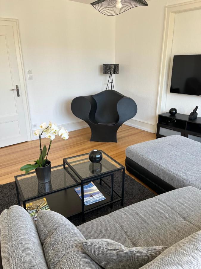 Appartement De Prestige Au Centre Climatise Avec Jardin Prive コルマール エクステリア 写真