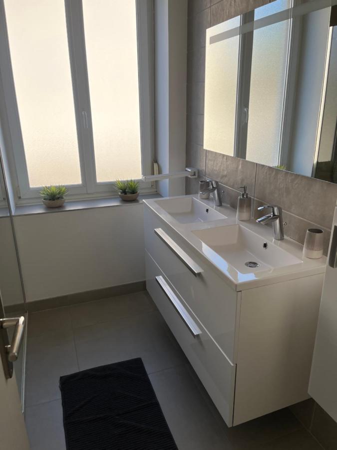 Appartement De Prestige Au Centre Climatise Avec Jardin Prive コルマール エクステリア 写真