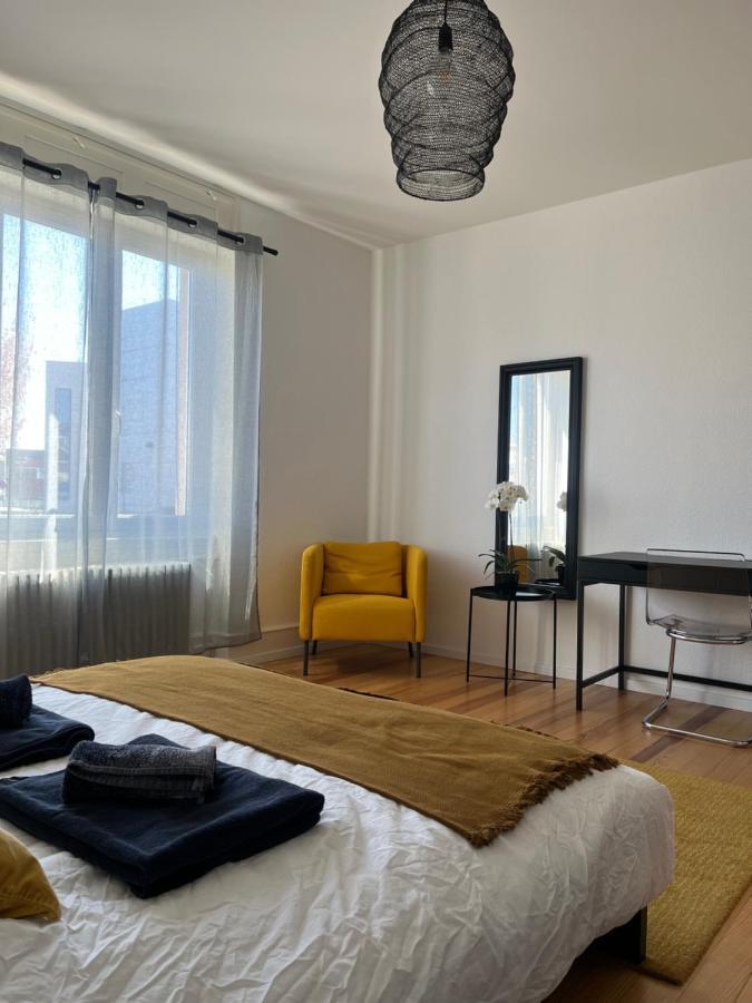 Appartement De Prestige Au Centre Climatise Avec Jardin Prive コルマール エクステリア 写真
