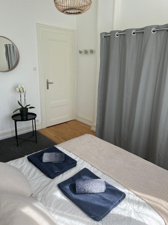 Appartement De Prestige Au Centre Climatise Avec Jardin Prive コルマール エクステリア 写真
