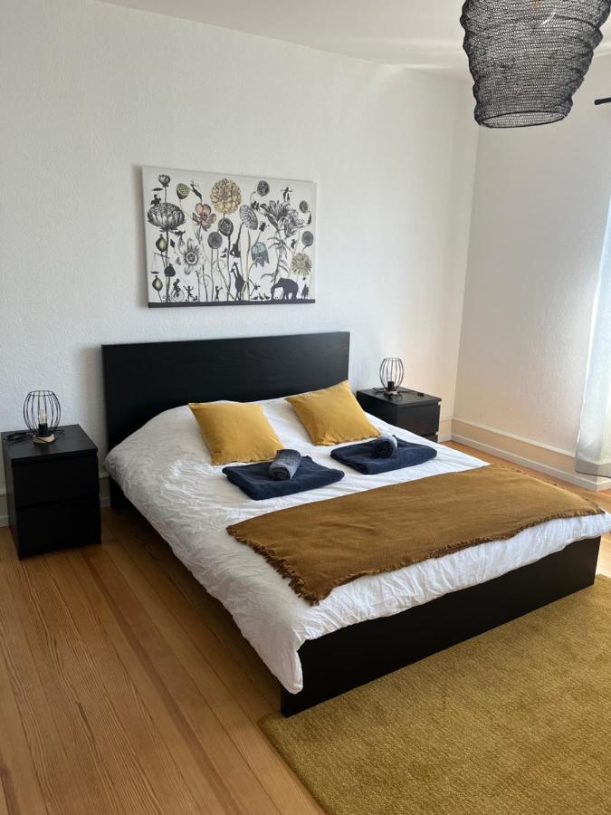 Appartement De Prestige Au Centre Climatise Avec Jardin Prive コルマール エクステリア 写真