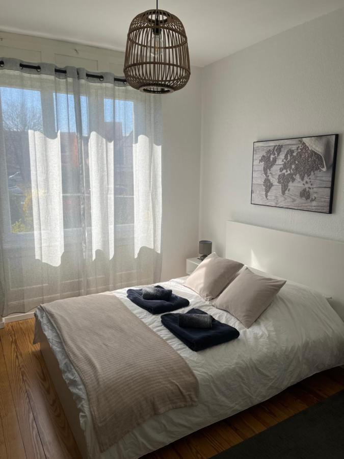Appartement De Prestige Au Centre Climatise Avec Jardin Prive コルマール エクステリア 写真