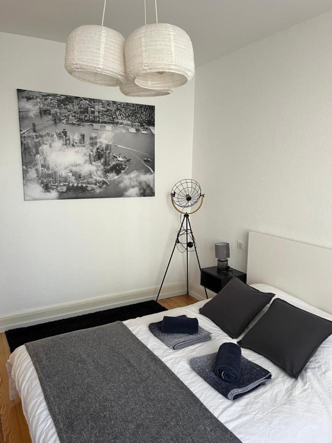 Appartement De Prestige Au Centre Climatise Avec Jardin Prive コルマール エクステリア 写真