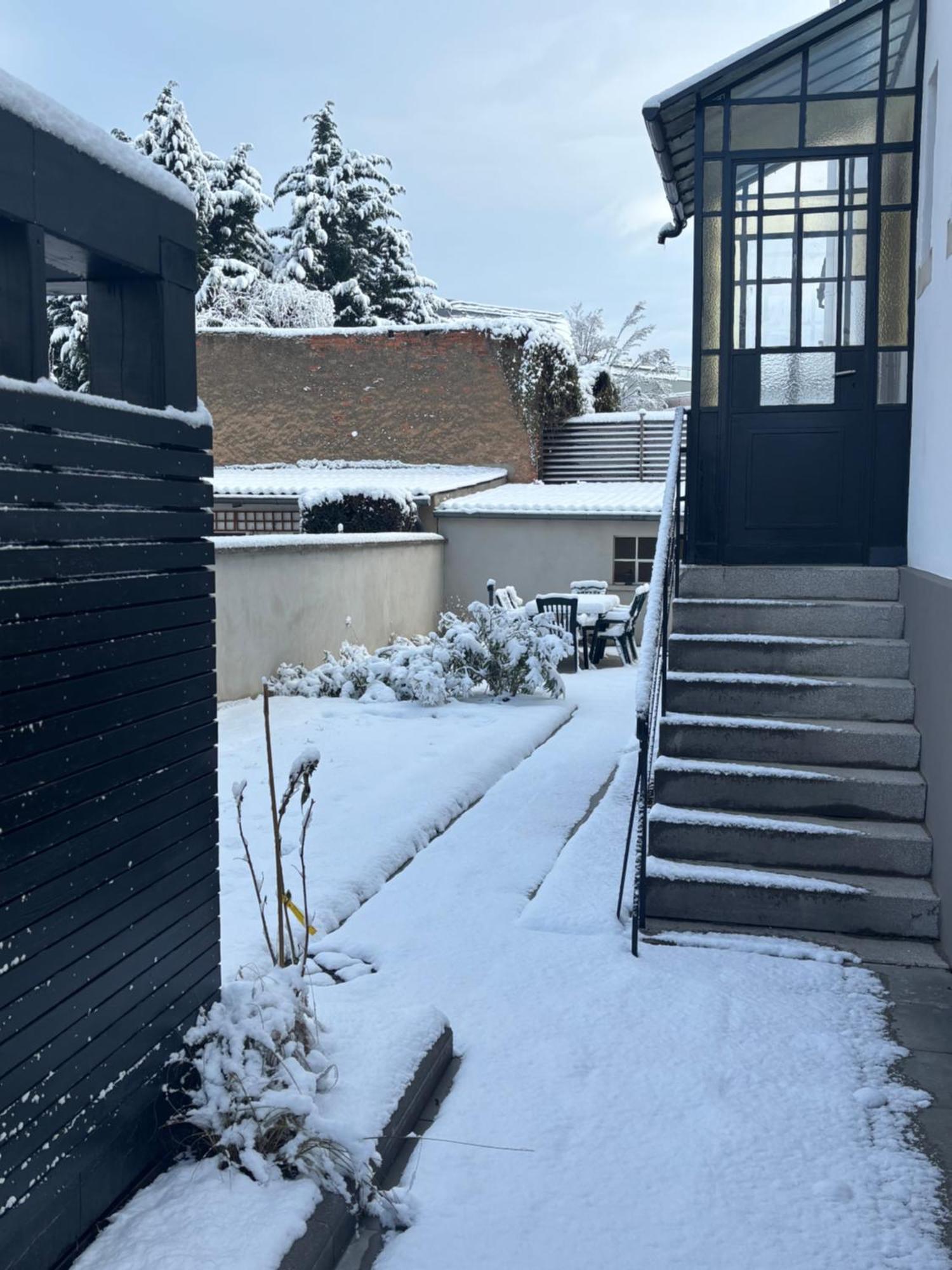 Appartement De Prestige Au Centre Climatise Avec Jardin Prive コルマール エクステリア 写真