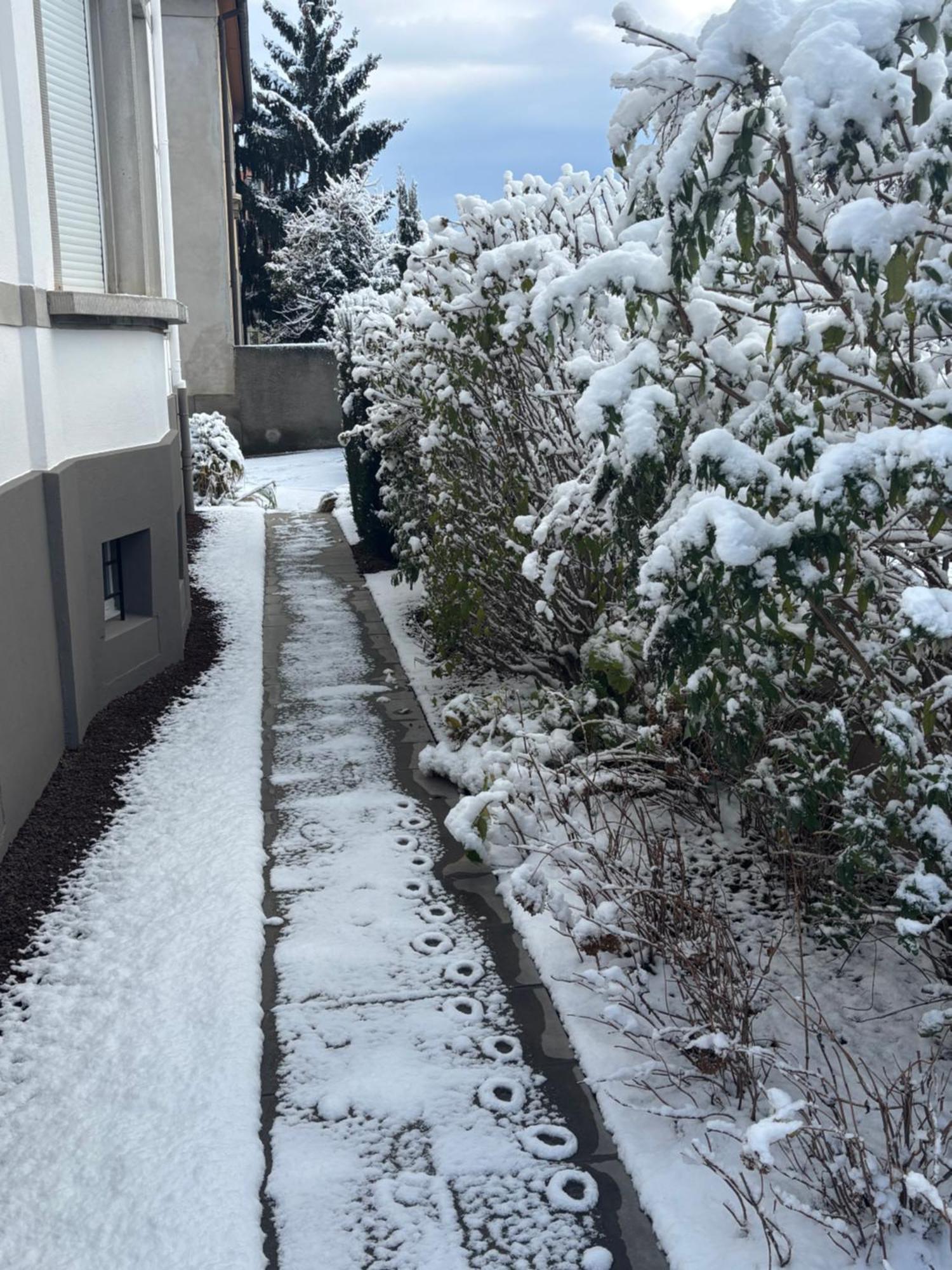 Appartement De Prestige Au Centre Climatise Avec Jardin Prive コルマール エクステリア 写真